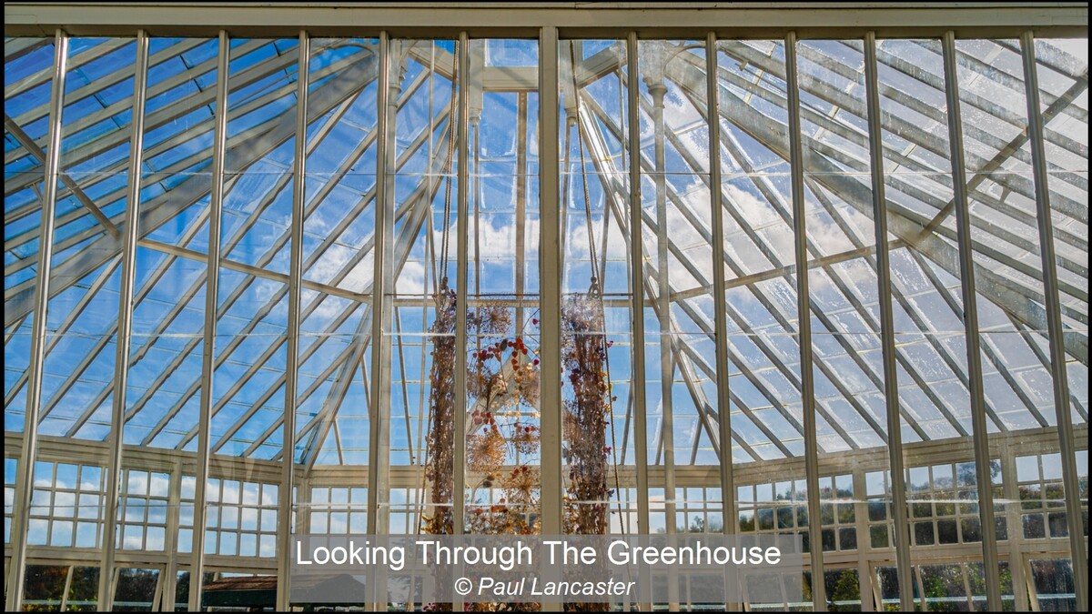 Looking Through The Greenhouse